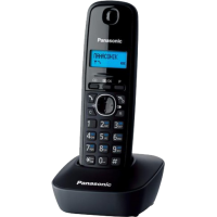 Домашний Телефон Panasonic KX-TG1611UAH Black