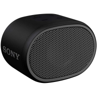Portativ Səsgücləndirici Sony XB01-BC E